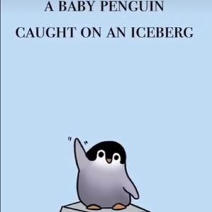 Meet your Posher, Alysa